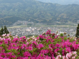 tutuzi