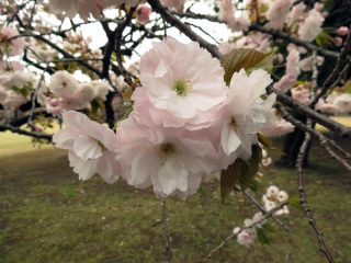 Vh䉑2
