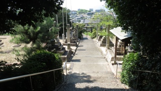 坂