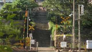 mKi