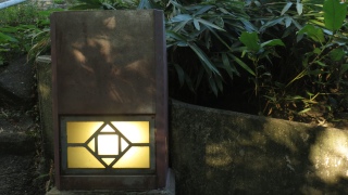 Z[u|Cg