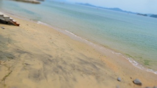 海