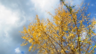 ~